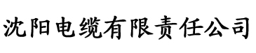 沈娜娜孟若羽苏语棠夏晴子剧情电缆厂logo